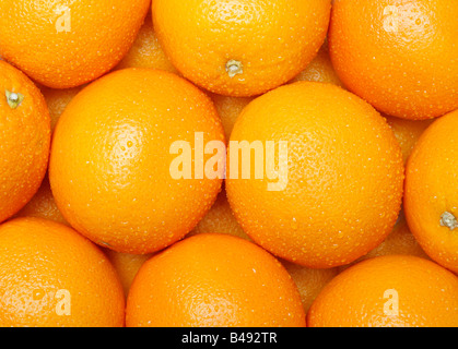 Les oranges couverts dans les gouttelettes d'eau Banque D'Images