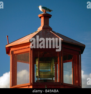 Sea Gull sur le dessus de Brockton Point Lighthouse dans le parc Stanley, Vancouver, British Columbia, Canada Banque D'Images