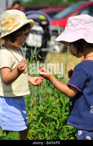 Les filles de ferme de fraises. Banque D'Images