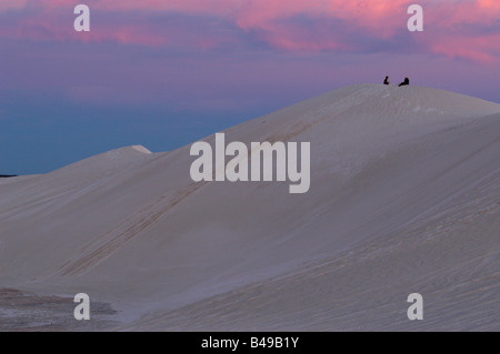 Coucher du soleil à la Lancelin dunes de sable au nord de Perth en Australie occidentale. Banque D'Images