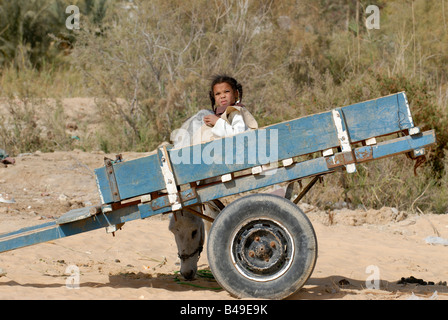 Les jeunes assis dans bedouingirl un cheval panier Oasis Siwa Egypte Banque D'Images