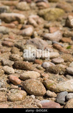Des pierres sur une plage, dans l'arrière-plan flou doucement Banque D'Images