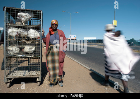 Femme vendant des poulets dans Soweto Johannesburg Afrique du GreatStock Parution Modèle Collection Afrika Banque D'Images