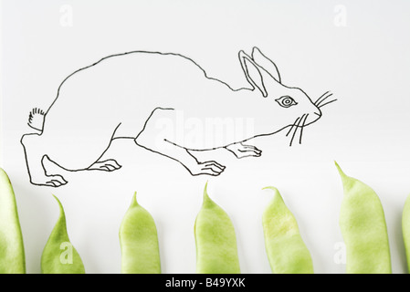 Dessin de lapin et de marcher sur les gousses de pois frais Banque D'Images