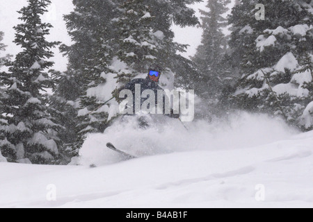 Un skieur dans la neige poudreuse dans les arbres lors d'une tempête de neige Banque D'Images