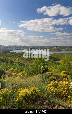 Mata Nacional das Terras da Ordem, un grand parc naturel près de Castro Marim, le Barragem de Odeleite. Banque D'Images