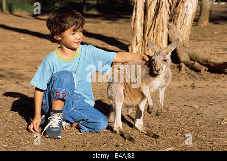 Currumbin Sanctuary, Garçon et Kangaroo Banque D'Images