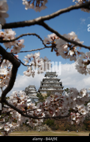Le Japon, Honshu, Hyogo, Himeji Castle Banque D'Images