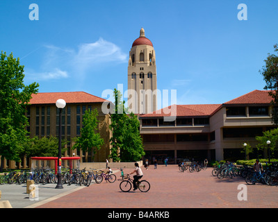 L'Université de Stanford, Hoover Tower Banque D'Images