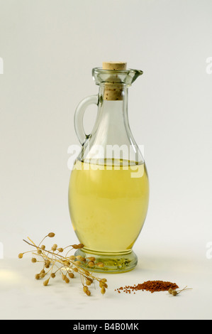 Lin Lin sauvage, cuscute (Camelina sativa), bouteille d'huile de graines, brindilles et studio photo Banque D'Images