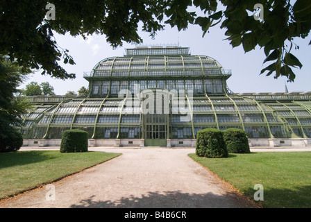 Palm House at Park Schloss Schönbrunn à Vienne, Autriche Banque D'Images