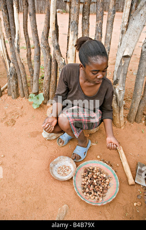 Fille namibienne Marula préparation Sclerocarya birrea noix à homestead Himba à Tsumeb Cultural Village open air museum en Namibie Banque D'Images