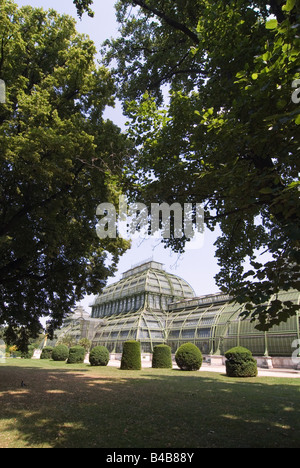 Palm House at Park Schloss Schönbrunn à Vienne, Autriche Banque D'Images