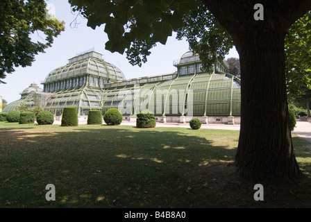 Palm House at Park Schloss Schönbrunn à Vienne, Autriche Banque D'Images