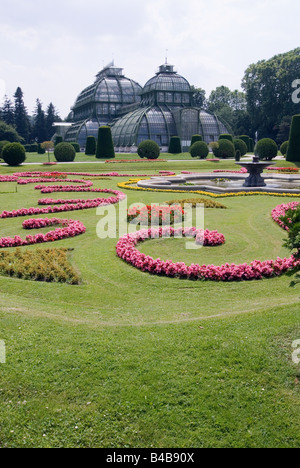 Palm House at Park Schloss Schönbrunn à Vienne, Autriche Banque D'Images