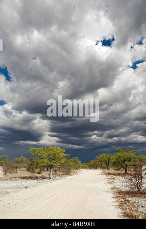 Une vue panoramique d'un orage lointain sur le Parc National d'Etosha en Namibie Banque D'Images