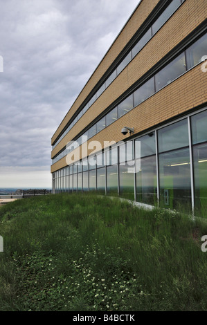 Sur le toit vert certifié LEED ( ) de la construction de l'Lassonde Polytechnique Montréal Université d'ingénierie Banque D'Images