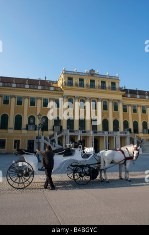 Transport de chevaux dans la région de Palais de Schonbrunn, Vienne, Autriche Banque D'Images