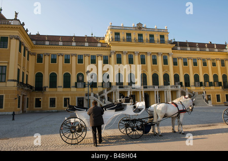 Transport de chevaux dans la région de Palais de Schonbrunn, Vienne, Autriche Banque D'Images