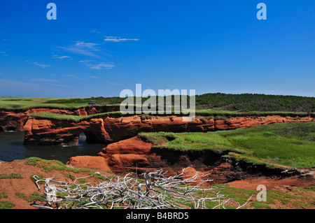 Falaises de la belles Anse Ile de Cap-aux-Meules, Îles de la Madeleine Québec Canada Banque D'Images