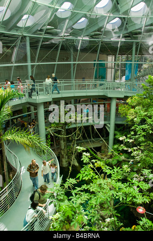 Exposition de la forêt tropicale, Académie des Sciences de Californie, Renzo Piano, architecte, a ouvert en septembre 2008, San Francisco, Californie Banque D'Images