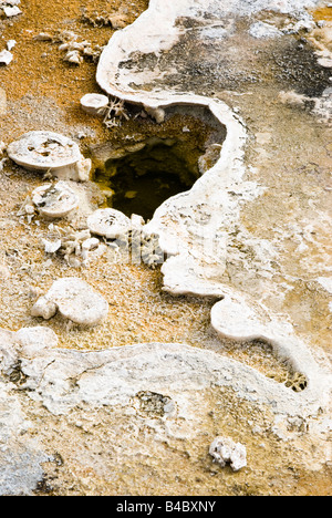 Motifs abstraits dans les sources hydrothermales dans le Parc National de Yellowstone Banque D'Images