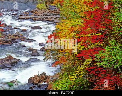 Amérique du Nord Canada Ragged Falls près de Parc Provincial Algonquin Banque D'Images