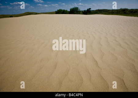 Dunes de sable de la Great Sand Hills, près de Sceptre, Saskatchewan, Canada. Banque D'Images