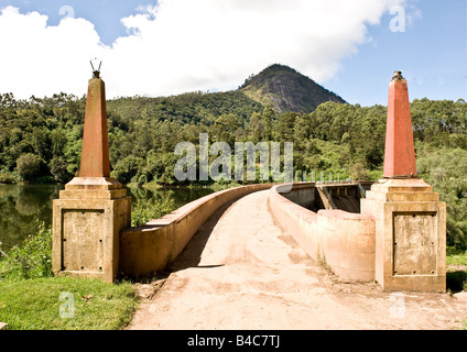 Route étroite sur un petit barrage de l'eau dans la réserve forestière nationale reliant un endroit frais à la lake resort de Munnar route montagneuse. Banque D'Images