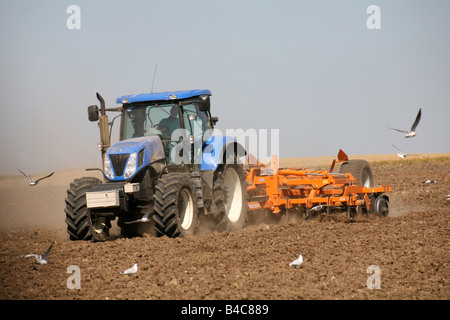 Les corbeaux freux et les mouettes suivent un tracteur comme il laboure les champs après la récolte près de Kedington à Suffolk Banque D'Images