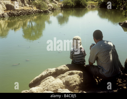 Les touristes tortues en étang près de Gavathas, sur l'île grecque de Lesbos, dans le Nord Est de l'Egée, Grèce Banque D'Images