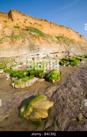 Compton,Bay,Iguanodon,empreinte,moulages,fossiles,fossiles,lits Wealden,géologie,paléontologie,sédimentaire,érosion,Ile de Wight,Angleterre,Royaume-Uni, Banque D'Images