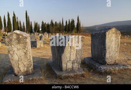 Nécropole Radimlja, Bosnie-Herzégovine Banque D'Images