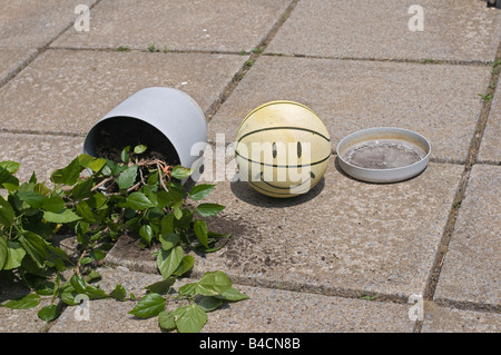 Cache-pot avec plante brisé sur le sol pavé par une balle. Banque D'Images