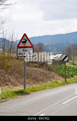 Road sign warning of Deer suivie de la limite de vitesse nationale sign Banque D'Images