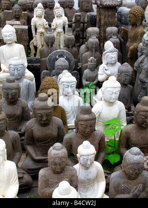 Les plantes vertes poussant parmi les statues de Bouddha en marché aux puces de Panjiayuan à Pékin, Chine Banque D'Images