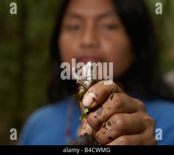 Avec le poison Native serpent, forêt amazonienne, en Equateur Banque D'Images