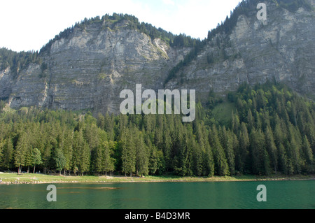 Lac de Montriond Alpes Banque D'Images