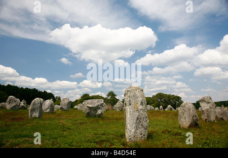 Juillet 2008 - les alignements de pierres mégalithiques de Kremario Carnac Morbihan Bretagne France Banque D'Images