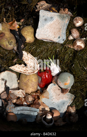 Rotting nourriture gaspillée par un ménage dans le bac de recyclage pour la collecte brun pour faire en compost au Royaume-Uni Banque D'Images