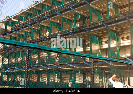 Grand driving range avec 52 chauffé et protégé contre les intempéries cale sur quatre niveaux à Chelsea Piers, à New York City Banque D'Images