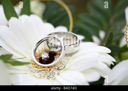 Bagues argent libre de bandes sur brides bouquet reposant sur centre d'une journée de mariage fleurs gerbera blanc image générique Banque D'Images