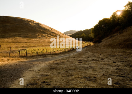 Le soleil du matin à travers les sommets des arbres comme un randonneur promenades sur le sentier de crête à Mission Peak Regional Preserve à Fremont. Banque D'Images