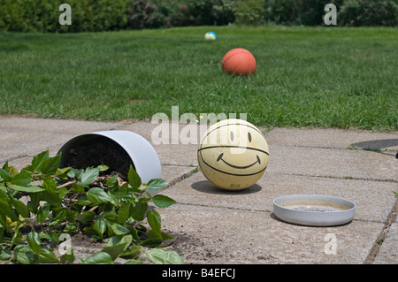 Une plante en pot sur le sol pavé déversé par une balle smiley. Banque D'Images