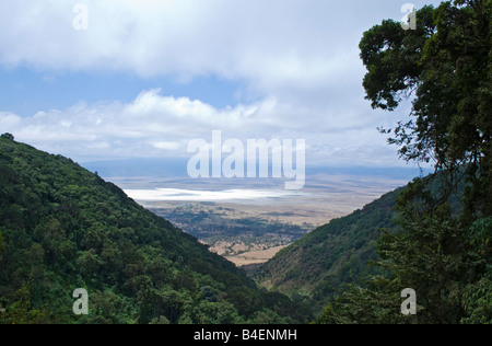 Tanzanie Ngorongoro National Park le lac salé dans le cratère Banque D'Images