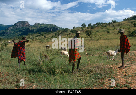 Karamojong chevriers à Karamoja, en Ouganda Banque D'Images