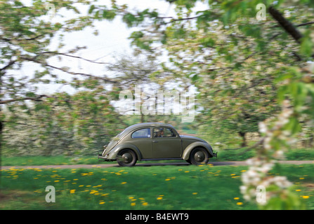 Voiture, VW, Volkswagen, beetle Typ 1 Bretzel, beetle, berline, voiture d'époque, l'année de modèle 1953, 1940, mi quarantaine, années 50, années 50, l Banque D'Images