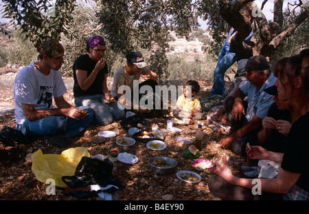 Les bénévoles à l'ISM de manger à l'oliveraie, Palestine Banque D'Images