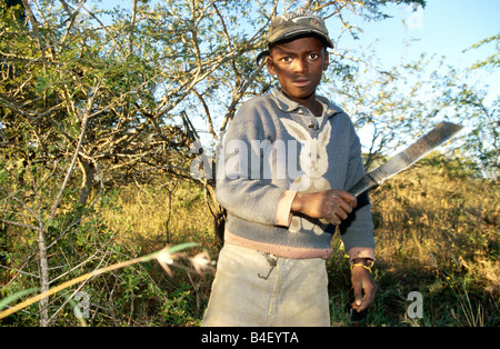 Jeune travailleur à l'aide d'un couteau à grove, Afrique du Sud Banque D'Images