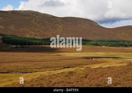 Une vue vers le chemin du Loch Muick lochnagar Banque D'Images